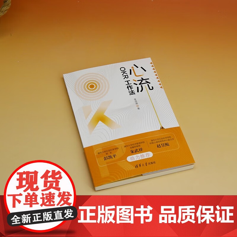 心流 OKR工作法 李沛遥 著 积极心理学 激发内驱力 把握变化提升绩效实现目标 管理高清大图
