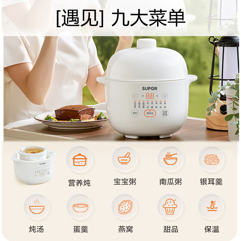 苏泊尔(SUPOR)电炖锅1L精巧容量 电炖锅 燕窝炖 宝宝辅食预约定时 婴儿bb煲迷你煮粥煲汤锅DZ10YC882高清大图