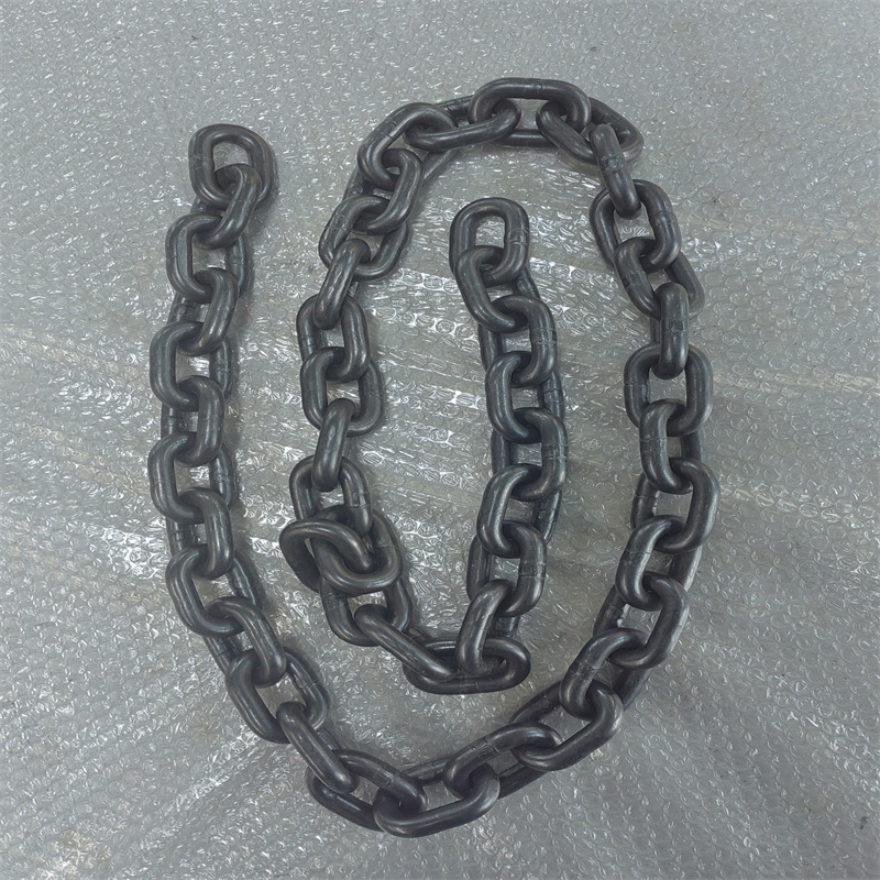 飞享祥隆 链条(10mm)米高清大图