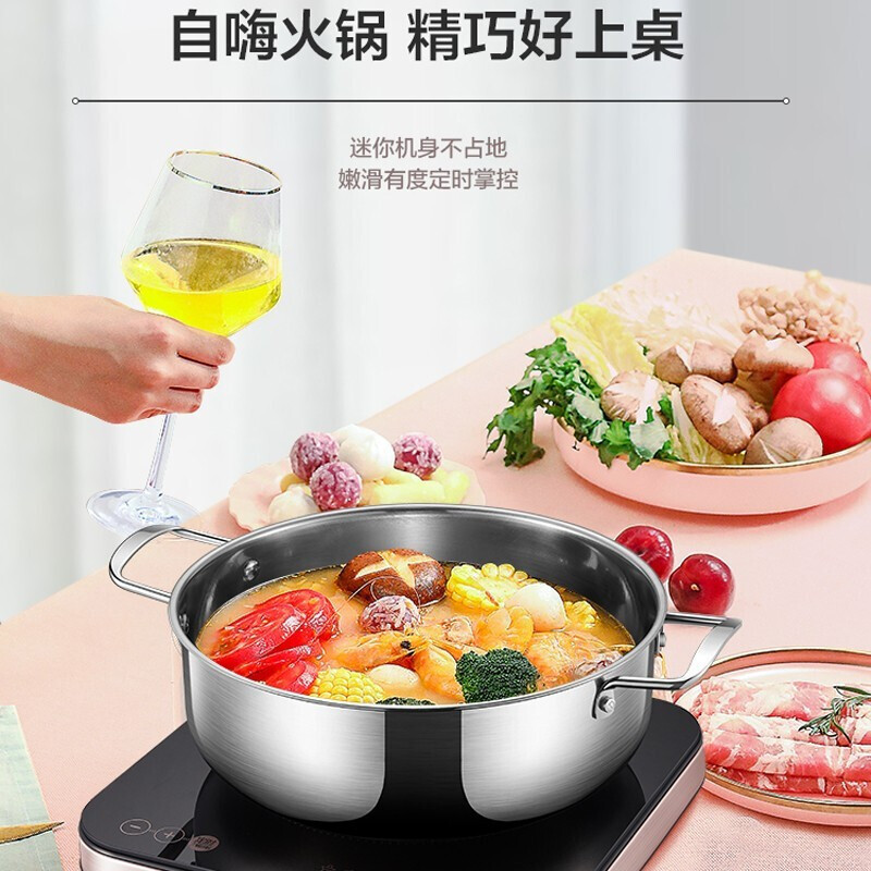 苏泊尔电磁炉电火锅c21ic20家用多功能爆炒菜一体迷你电池炉小型