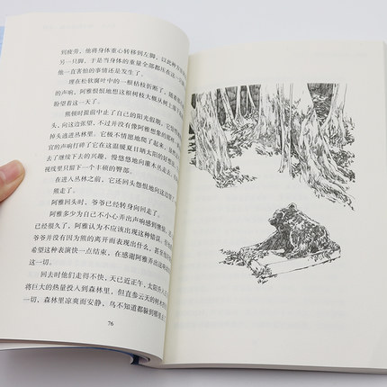 [正版] 风之子 百年百部中国儿童文学经典书系中小学生青少年课外书9-15岁儿童文学励志读书书籍三四五六年级以上小说高清大图