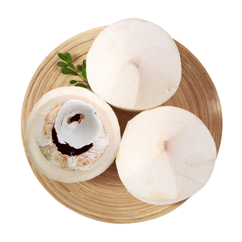 【一贤生鲜】海南椰青 当季热带水果 水果椰子 6个装 现摘现发 清甜