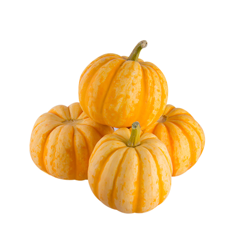 15kg黄金南瓜迷你金丝板栗黄金小南瓜小金瓜辅食万圣节小南瓜参数