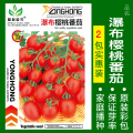 瀑布小番茄种子千禧樱桃西红柿圣女果种籽苗四季播黄蔬菜种孑种植 均码 瀑布樱桃番茄2包实惠装