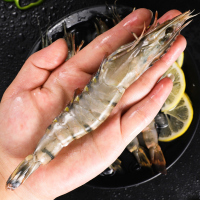【抢！3件仅108元】 越南黑虎虾毛重600g 16只 水产草虾净重400g 斑节虾老虎虾海鲜水产