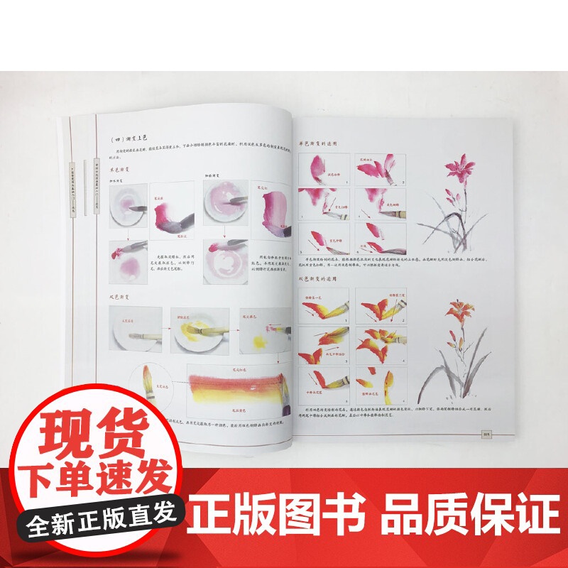 传统中国画基础入门:花鸟篇 飞乐鸟 电子工业出版社 正版书籍高清大图