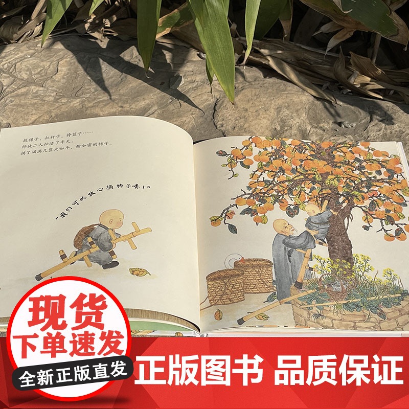 柿柿如意高清大图