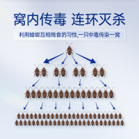 拜灭士 拜耳蟑螂药全窝端 12g杀蟑饵剂家用除蟑灭蟑杀蟑胶饵 德国进口