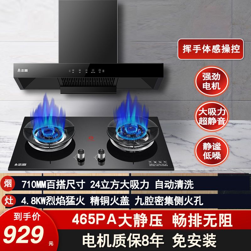 志高(CHIGO)欧式触控式油烟机燃气灶具烟灶套餐F811+F216A(液化气)