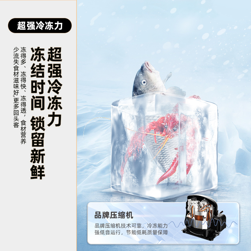 新飞(Frestec)2380升商用大容量冷藏冷冻转换双门顶开门卧式冷冻冰柜卧式大容量冰柜 BD/BC-2380DTXD