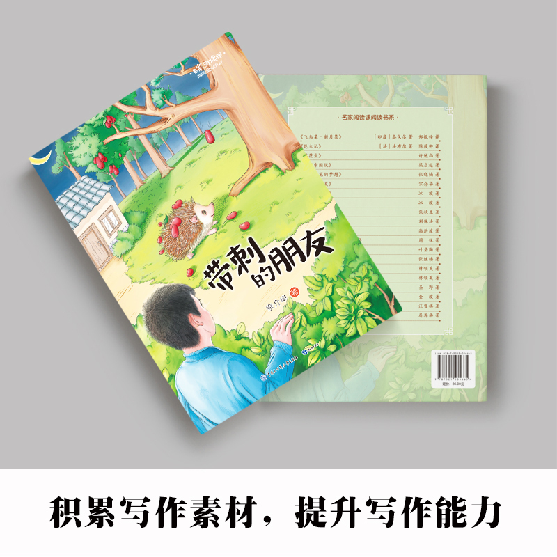 纸船和风筝 [正版]名家阅读课1-6年级阅读版全19册慢大象的耳朵性子裁缝和急性子顾客带刺的朋友落花生少年中国说小白船•