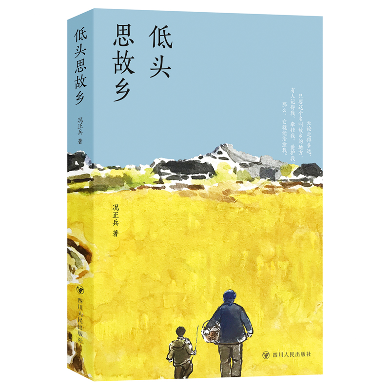 正版新书]低头思故乡况正兵9787220136290高清大图
