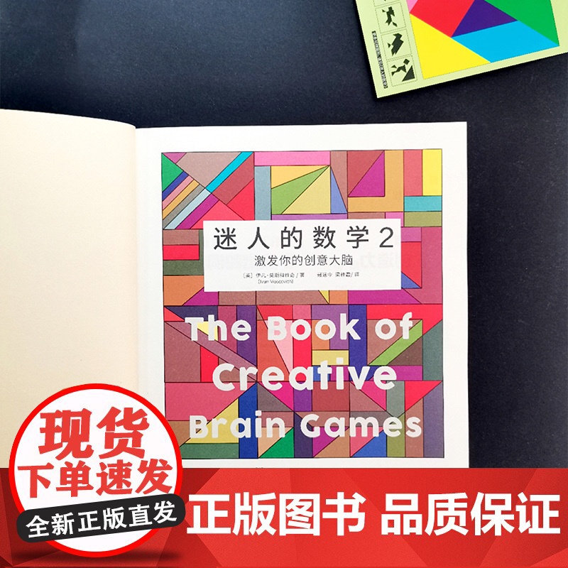 迷人的数学2 激发你的创意大脑 享誉世界的智力游戏专家 学生之爱 家长明智之选 从不同角度全方位开发大脑 锻炼数学思高清大图