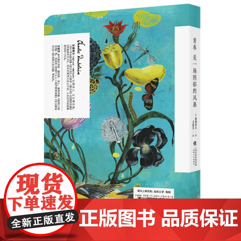 青春是一场阴郁的风暴 波德莱尔 天津人民出版社 正版书籍高清大图