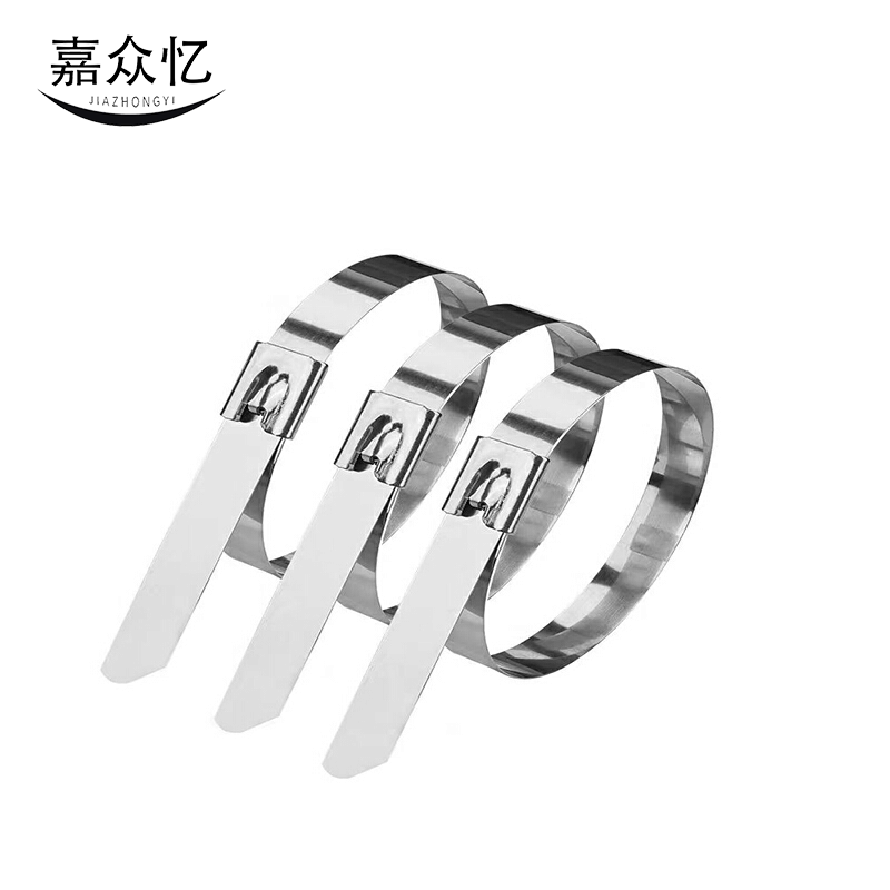 嘉众忆 不锈钢扎带(201) 4.6*800mm JZY-468 根图片