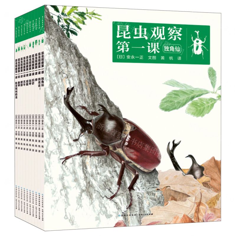 [N]昆虫观察第一课(共10册)-9787221166975高清大图