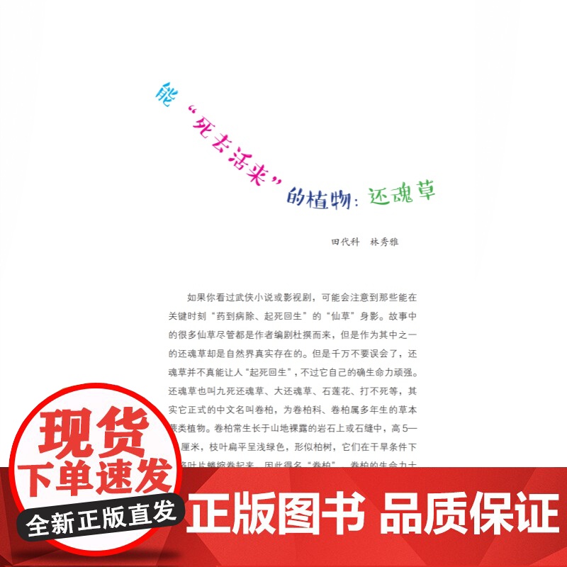四叶草真的能带来好运吗?植物的奥秘 田代科主编尤里卡科学馆上海科技教育出版社 青少年知识科普百科读物高清大图