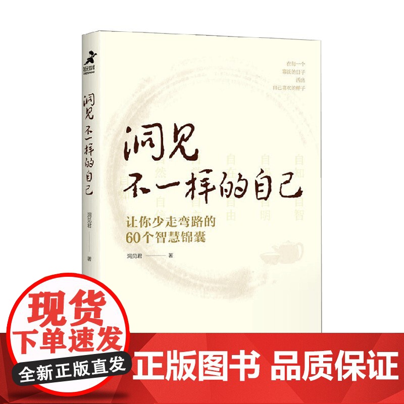 洞见不一样的自己 让你少走弯路的60个智慧锦囊 洞见君 著 成为更好的自己 励志高清大图