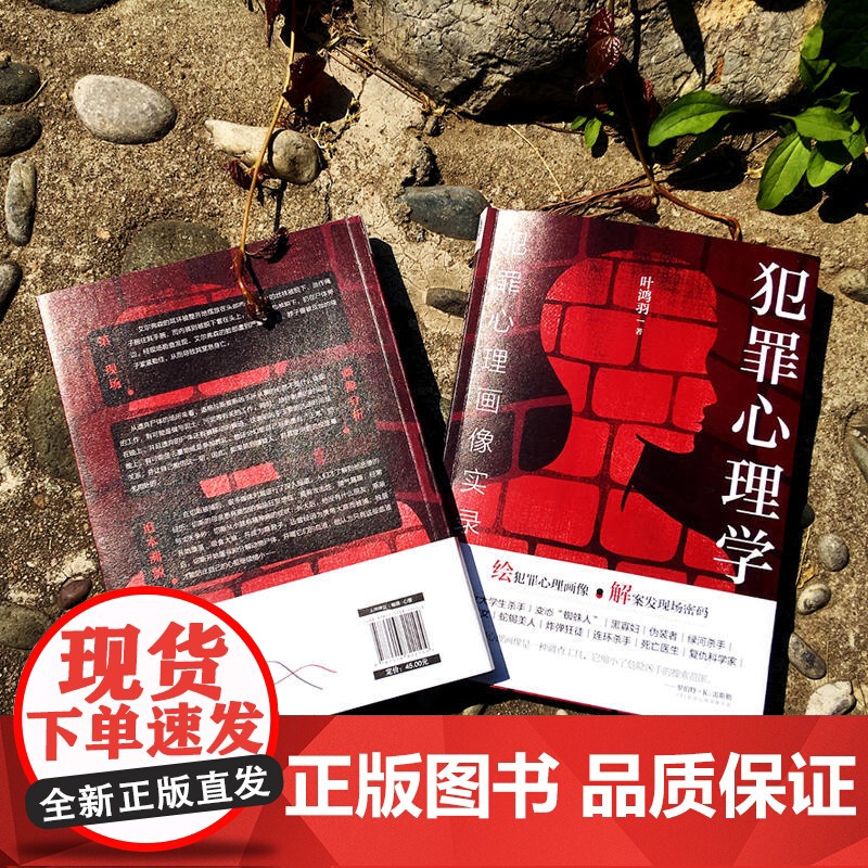 [全新正版]犯罪心理学 犯罪心理画像实录 绘犯罪心理画像 解案发现场密码 比雷米小说更惊悚比高铭的分析更透彻高清大图