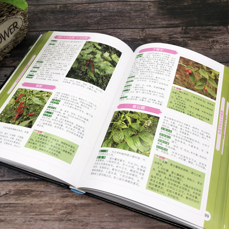 [醉染正版]正版 本草纲目原色图谱 中草药彩图图谱本草纲目 现代大众健康的生活养生指南 养生书籍 中国古代百科全书高清大图