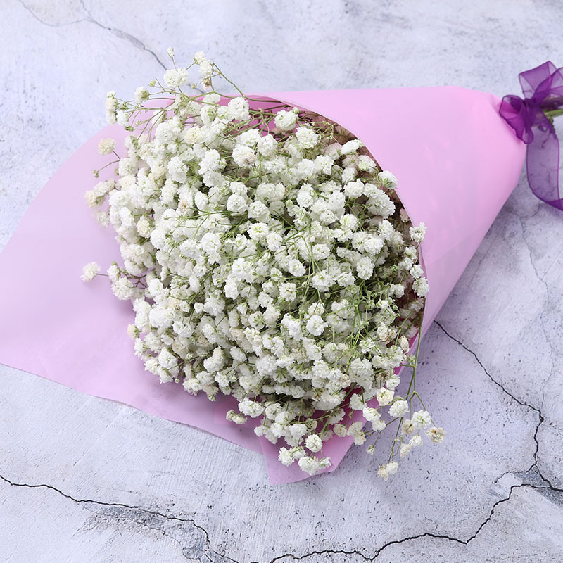 满天星干花束客厅摆设插花小清新装饰花白色满天星一束