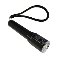 PG 防爆强光手电筒 PG-F1011 /个