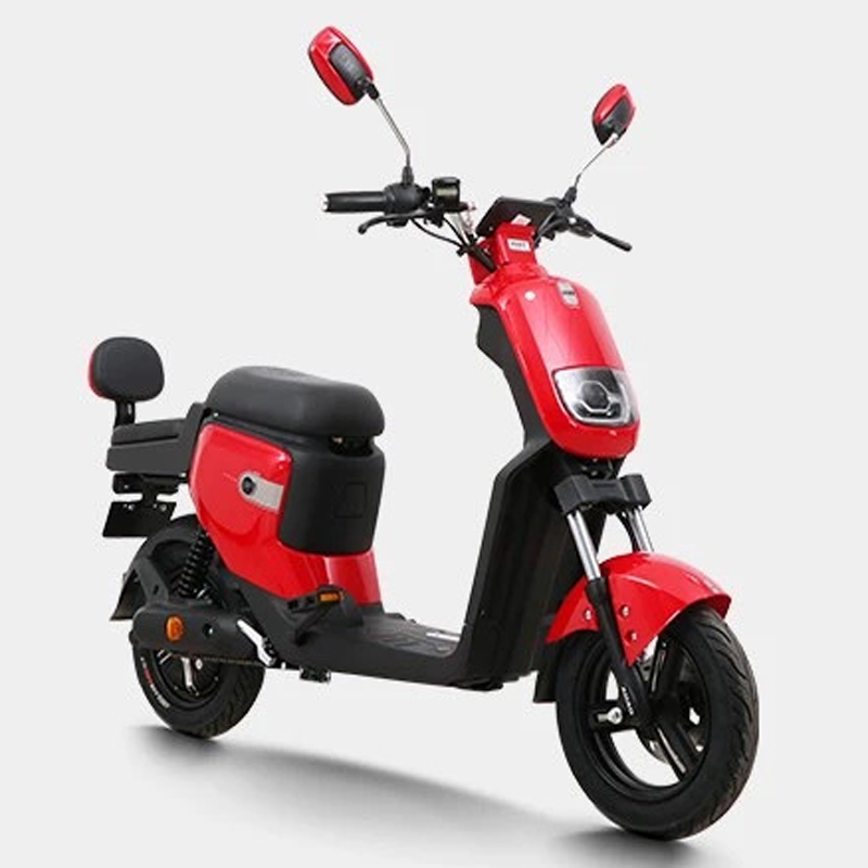 金穗慧采 企业定制 小刀 L2电动自行车 新国标电动自行车TDT1914Z(包含两个头盔 两个雨衣) yc