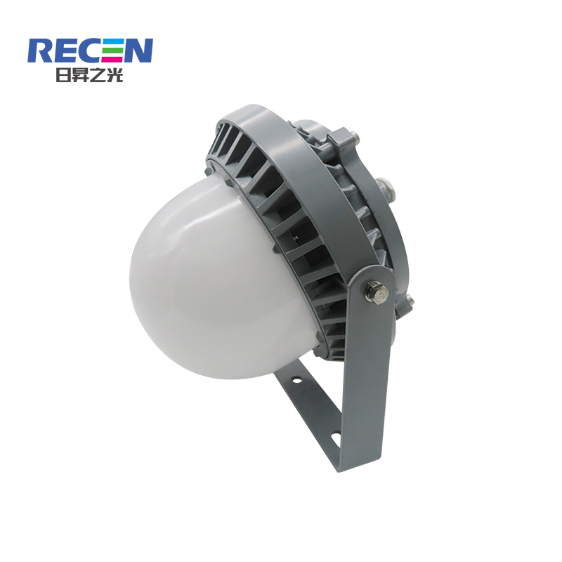 RECEN RGPL229-100W 固定式LED灯具 个高清大图