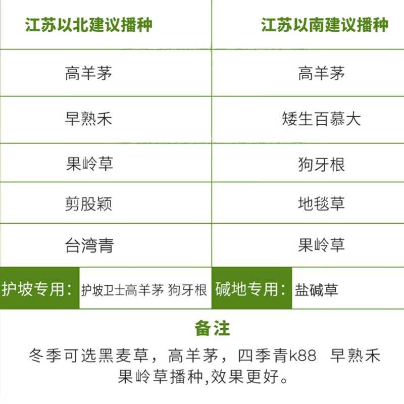 美外 草坪种子 护坡草籽草皮种子庭院免修剪耐寒草坪草绿化工程 耐寒耐旱四季青K88高清大图