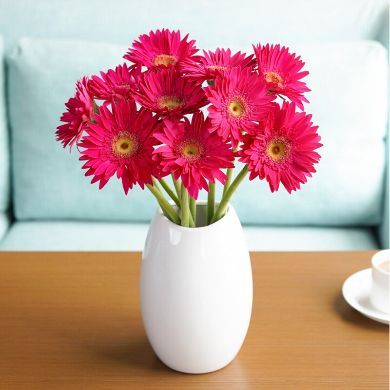 非洲菊 鲜花 家庭 速递家用 插花 直发一扎可开发票 玫红色扶郎花10朵