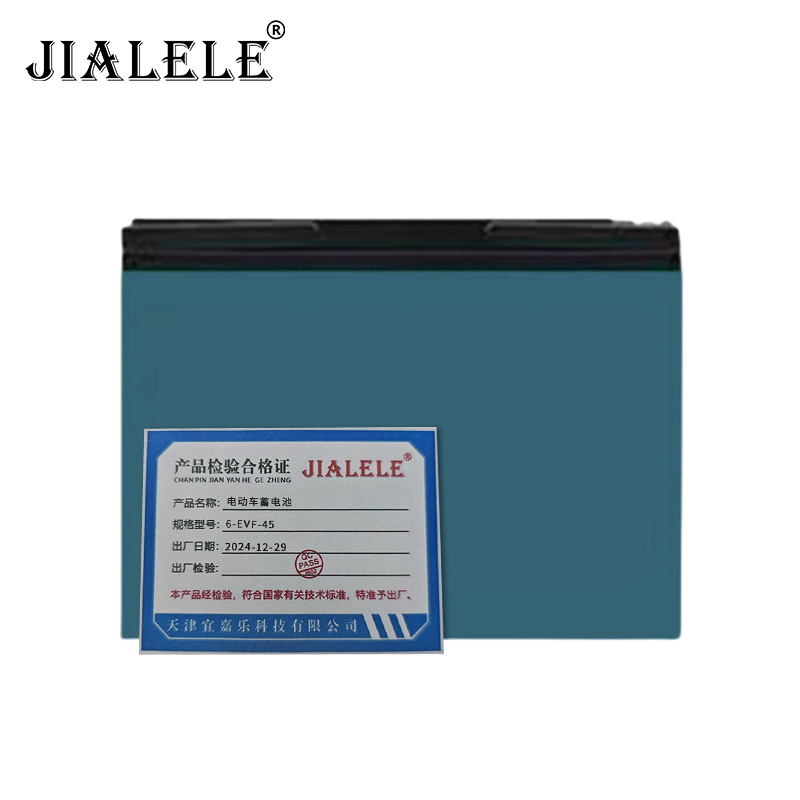 JIALELE 电动车蓄电池 6-EVF-45 个