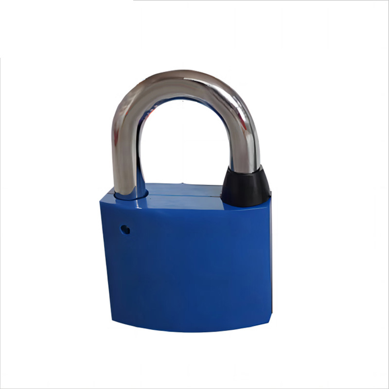 盾超人 DCRGW-0603 30mm 短梁通开塑钢锁 (计价单位:个) 蓝色高清大图