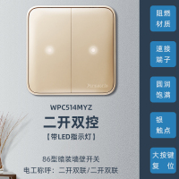 松下格彩开关插座大面板香槟金色带LED指示灯86型格彩家用 二开双控(带LED指示灯) WPC514MYZ