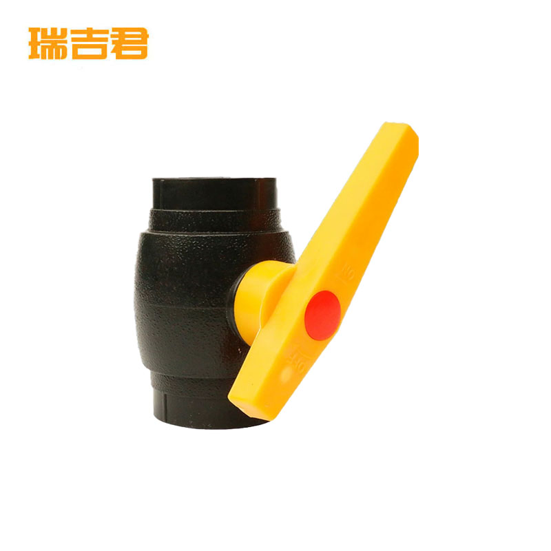 瑞吉君 PE球阀 25mm 个高清大图