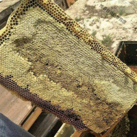 老蜂巢蜜 农家蜂巢蜜蜂窝嚼着吃的蜂蜜老巢蜜100g 老巢蜜1斤(买2送勺子1支)