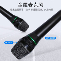 山水（SANSUI） 有线麦克风动圈话筒KTV家用卡拉OK专业舞台DJ音响设备会议培训演讲连功放音响电脑 黑色