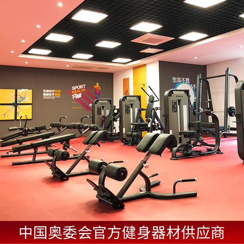 舒华(SHUA) 背部伸展练习器 SH-G6858高清大图