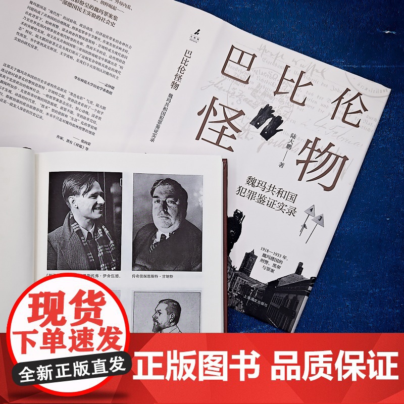 巴比伦怪物:魏玛共和国犯罪鉴证实录 野火系列 陆大鹏 著 魏玛德国 犯罪题材 原创非虚构 第三帝国 欧洲近现代史 上海译高清大图