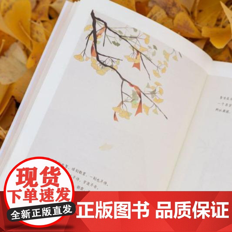 时间从来不语,却回答了所有问题 正版季羡林经典作品集心灵与修养 散文随笔集作品名家作品文学大师季羡林百岁人生的智慧青少年高清大图