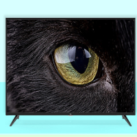 TCL 电视机 55F6 55寸 4K 3840*2160 安卓