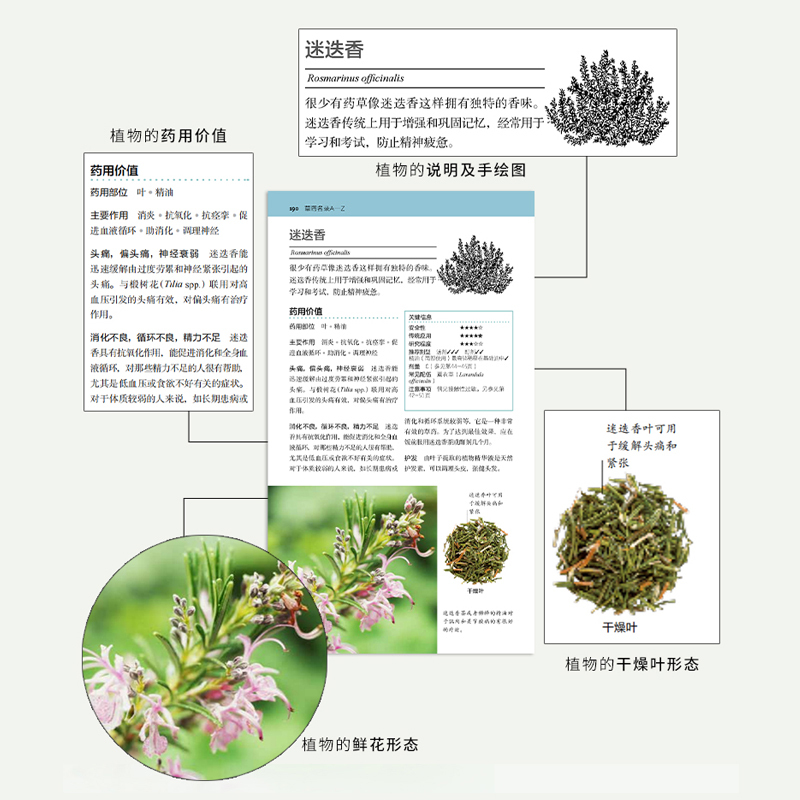 [正版]家庭草药百科手册 DK生活 中药养生治病书 中医养生保健书籍大全 药方配制功效药材图鉴40种药用植物50种常见病