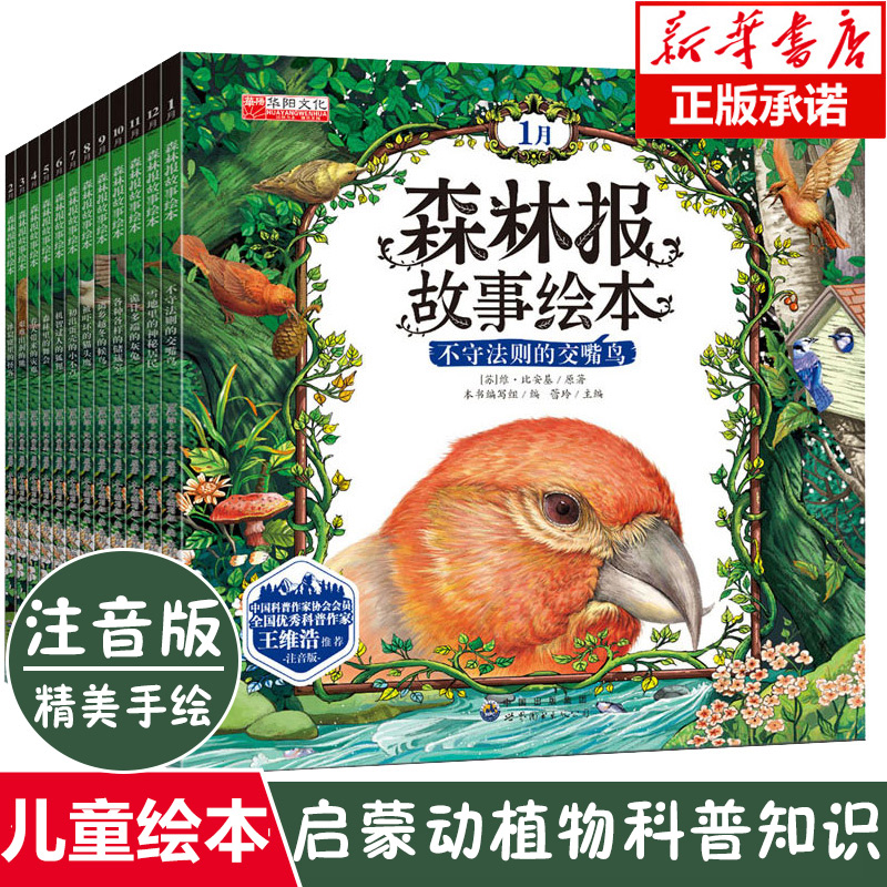 [正版图书]森林报故事绘本全套12册 春夏秋冬 幼儿童绘本图画故事书彩图注音版6-7-8-9-12岁一二三年级课外阅读书