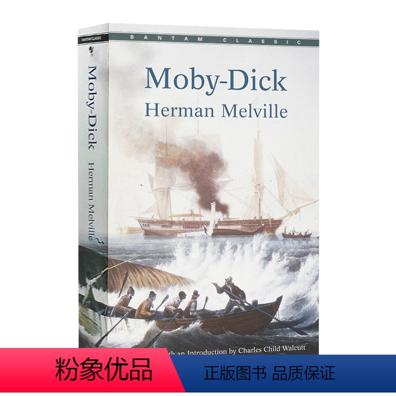 白鲸 赫尔曼梅尔维尔 [正版]英文版原版小说 Jane Eyre 简爱英文原版小说 夏洛蒂勃朗特 Charlotte B
