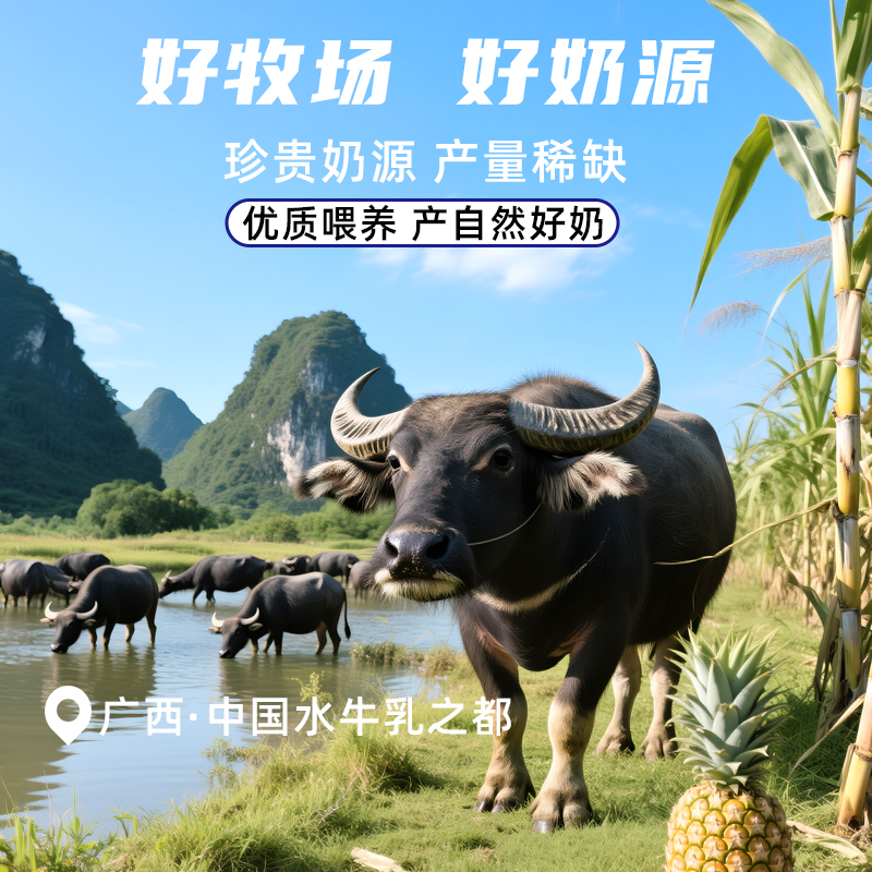 ABD水牛奶酸奶蓝莓味180g*10袋网红儿童学生饮料早餐奶高清大图