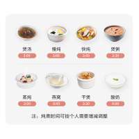 天际DGD25-25EWG电炖炖锅不锈钢隔水炖锅陶瓷内胆一锅三胆2-3L/2.5升煲汤煮粥锅燕窝炖盅家用全自动预约