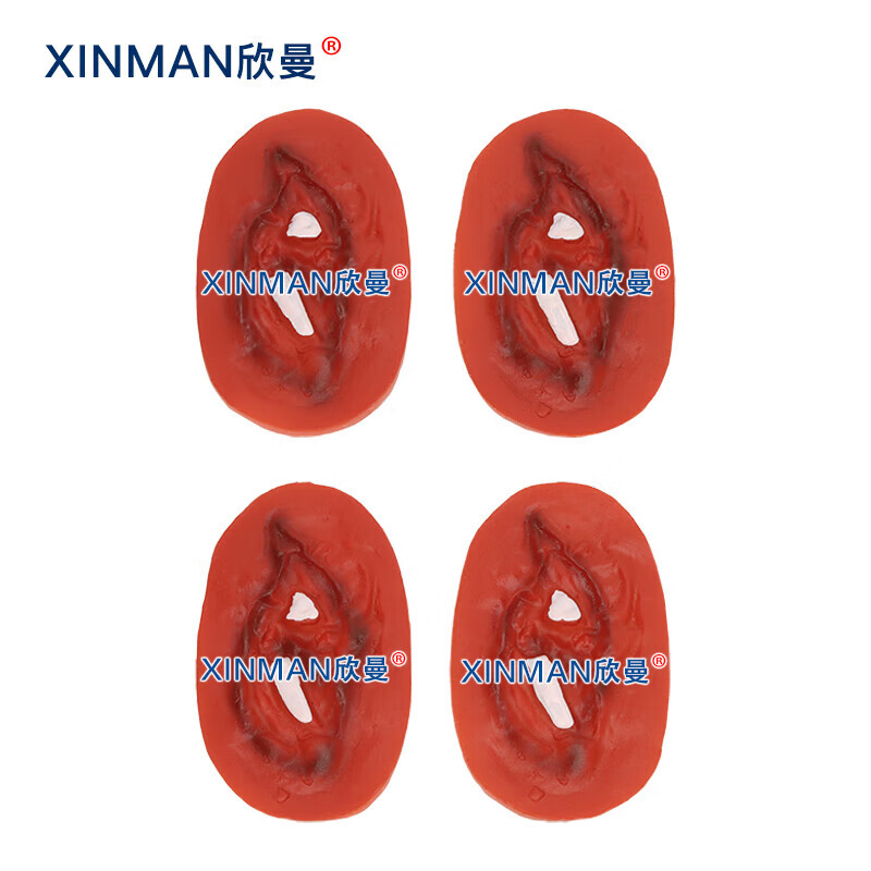 欣曼科教 创伤护理评估模块 伤情呈现模拟器材 34部件战创伤伤情模块组件 伤情呈现 伤情识别 XM-SQ34高清大图