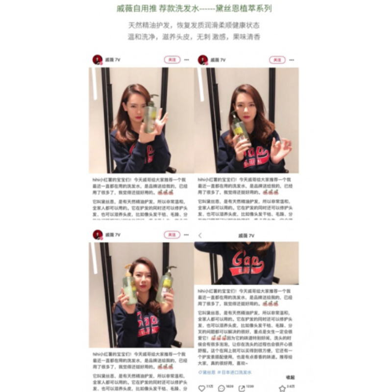 黛丝恩 摩洛哥油护发素 滋润亮泽型 750ml