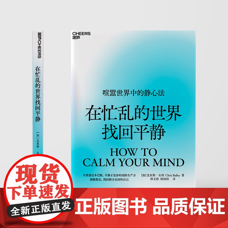 在忙乱的世界找回平静 克里斯·贝利 平静才是你的高阶生产力 摆脱倦怠,找回精力充沛的自己高清大图