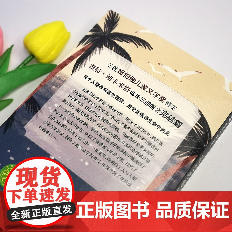 《追光的翅膀》高清大图