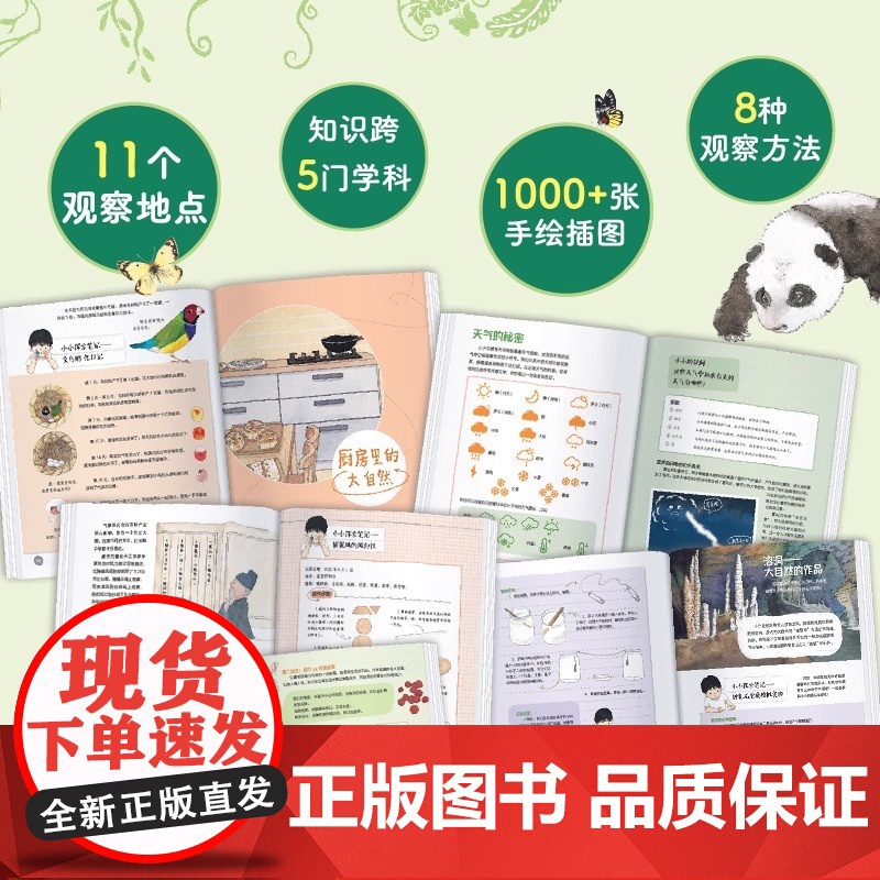 2025新版 小小的自然观察笔记 珍藏版 儿童科普启蒙绘本 8-12岁儿童趣味自然百科全书 小学生自然物语书籍2025高清大图